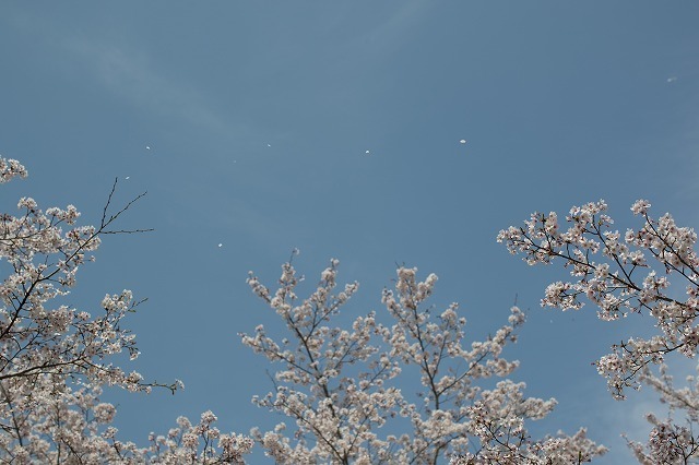 常陸風土記の丘