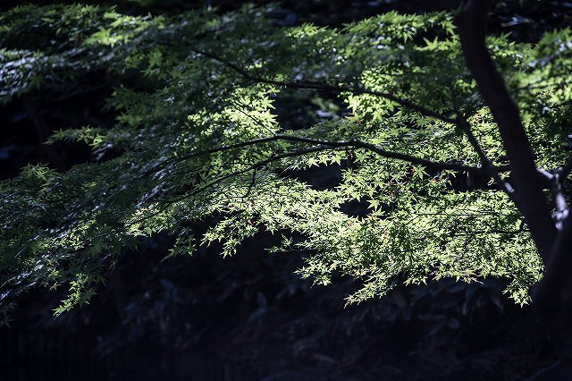成田山公園